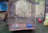 Cage sale good condition