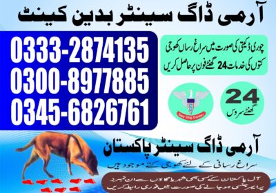 ed91db89-020e-4dde-8527-5a770fd85f5e