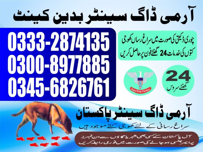 Army Dog Center | Badin Cantt | 03003006220