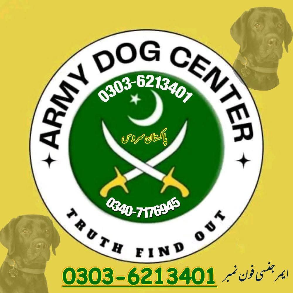 Army Dog In Khanewal service 03016244888 khoji Dogs Khanewal
