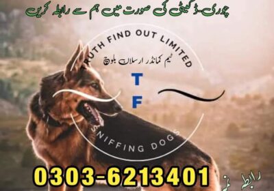 efba4944-a473-41d7-ad06-46b8bb1cf50f