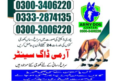 f09d2fdd-37ca-4812-ad9e-d7176eaabf2e