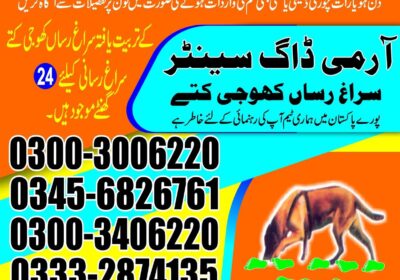 f9b9d546-4b95-4350-9587-d8f0abc0365c