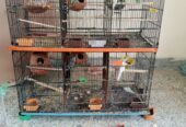 Cage