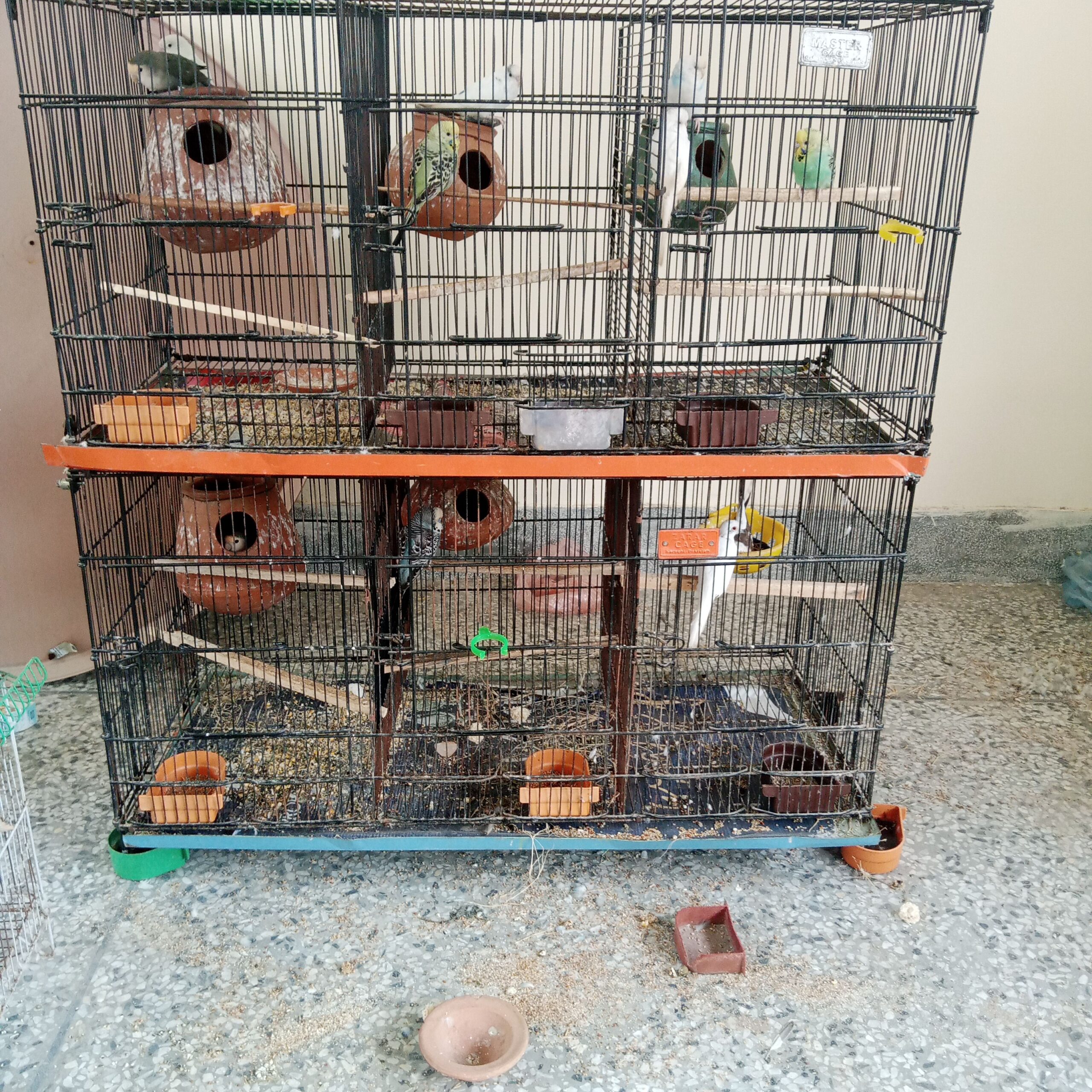 Cage