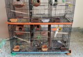 Cage