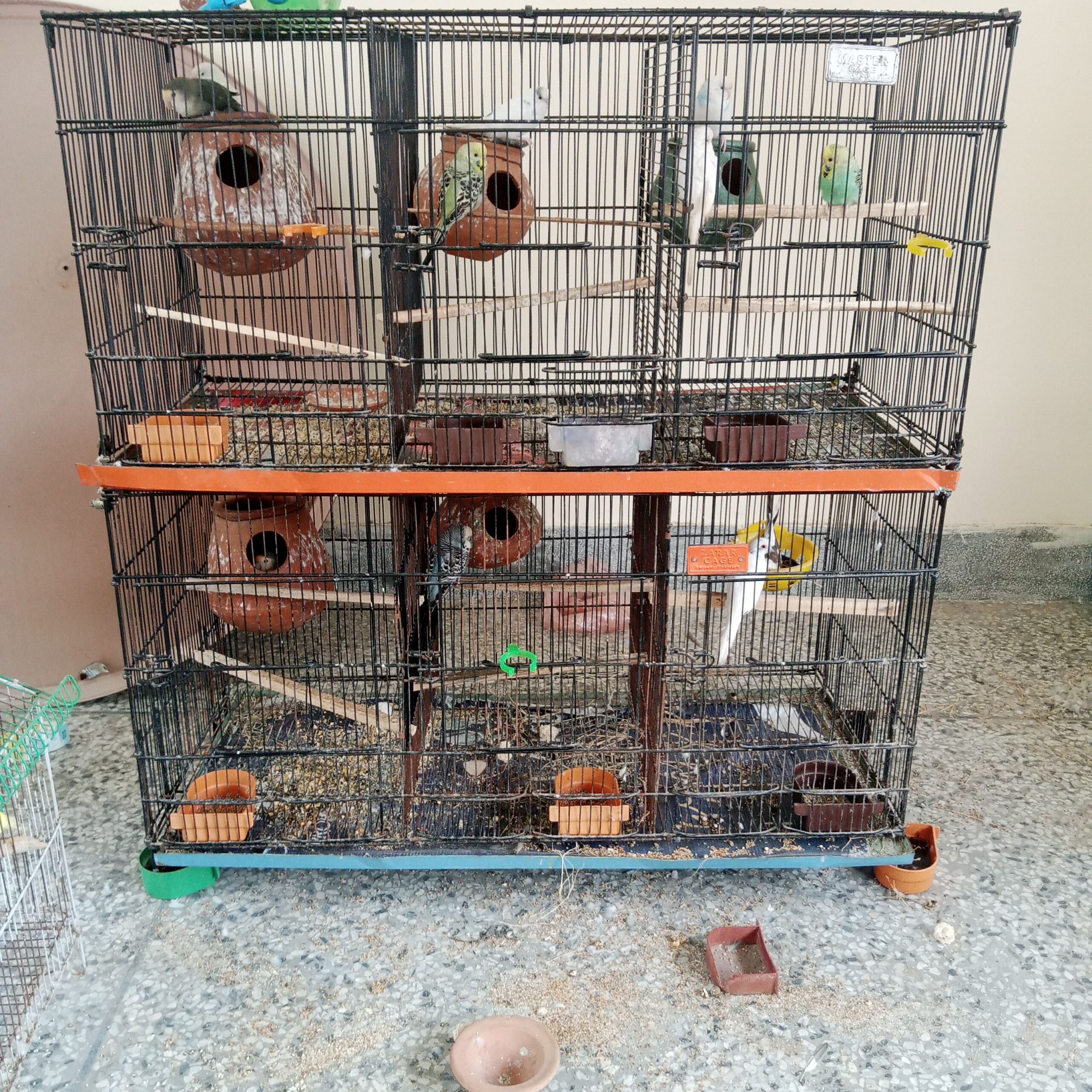 Cage
