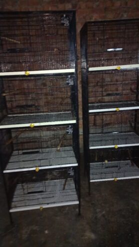 CAGES FOR SALE