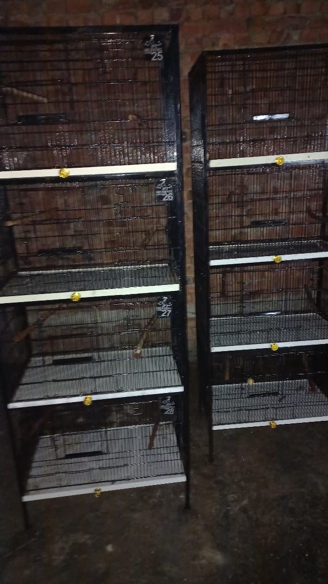 CAGES FOR SALE