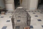Parrot cage
