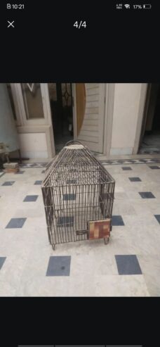 Parrot cage