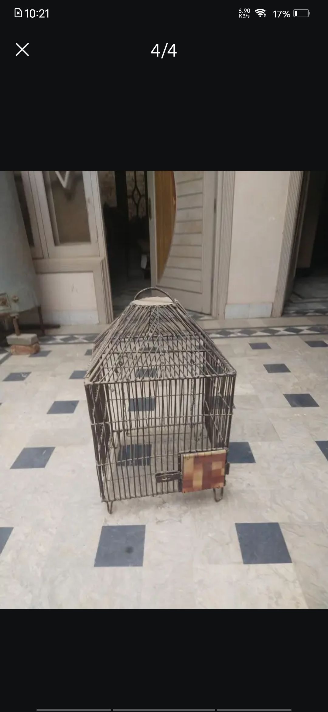 Parrot cage