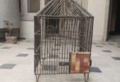 Parrot cage