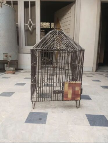 Parrot cage