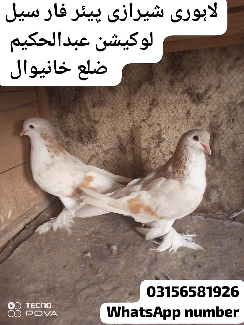 لاہوری شیرازی لاہوری شیرازی پیئر