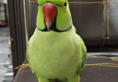 fa5549de-d829-414c-b9c3-152307e1431f