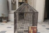 Parrot cage