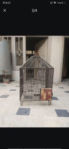 Parrot cage