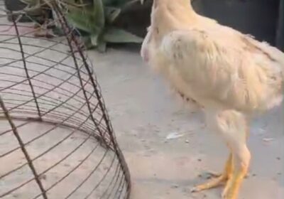 002c7570-4507-4fad-bd77-054a7bdb277b