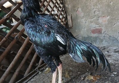 00397eab-37d5-4f18-8a89-0ef3f205aad8