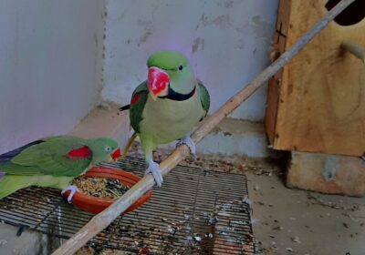 17e0bd21-f61d-4e6f-928a-b9c966c6215f