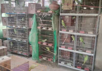 1fe66c81-93a3-451c-887c-19acdda60eb9