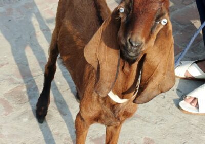 2b206108-5176-4bc4-b1a6-ebff4d607169