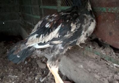 3b5a8d80-eea8-48e6-a3aa-c6225a36648a