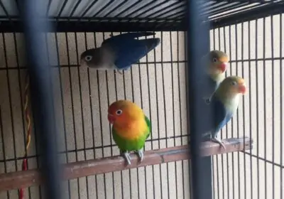 3c8d6d06-0398-428f-bd24-ed67807c4b27