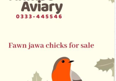 4b1a3f8d-6df1-4c20-ad0f-1921b76b7ba5