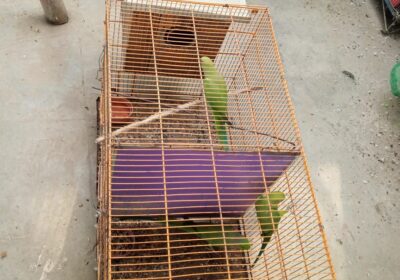 5060e9ef-bdfa-4b91-ac0c-87364b69812f