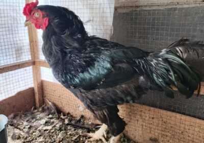 774823e5-1000-4047-a1a9-a3c01797b081