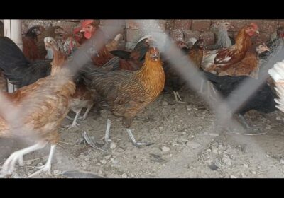 7a5e9e23-849f-4e47-a9d3-2c4e3fce886a