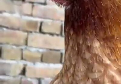 879e47ad-146d-4fe9-9d63-3fdbacd9e2d7