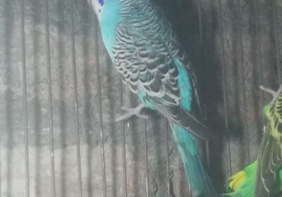 8b2ff49f-7e37-4ab8-8dfd-ccf3b92998c8