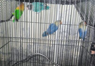 93eb4278-8843-4ca0-b11d-59c3e9799f15