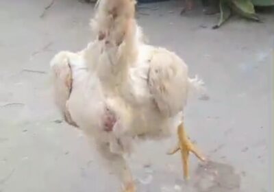 968b642e-3f4c-4663-9679-2f3efa5ff719