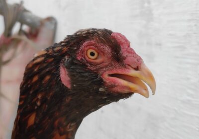 a7f5b162-0882-45d9-afd0-602f3b76fe3f