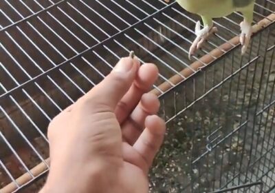 bd32f835-15e6-42e5-b774-eae2e3607e8b