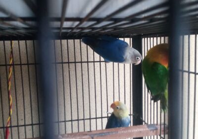 fb78eb85-7e62-438e-ad71-4e0e1060cbdc