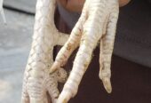 White heera for sale