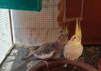 3d413292-ffb0-439f-982f-50d364e6b969