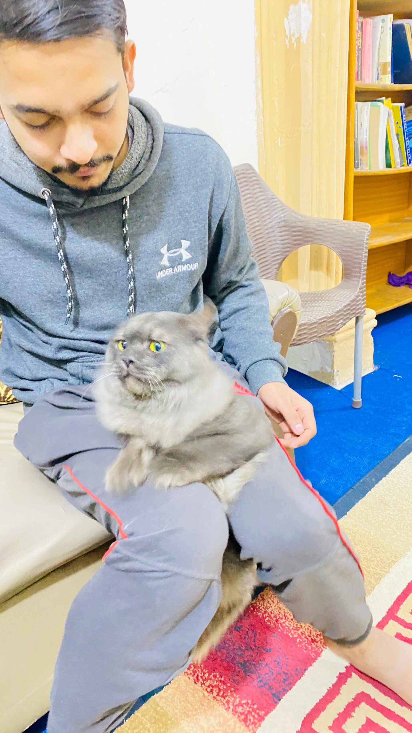 Persian Male triple code for sale