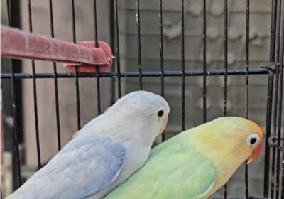 787b758c-d069-49a0-ae98-5a2194e7dc31