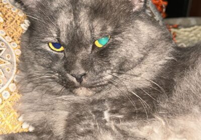 7d622505-8620-41f0-8085-25d137a7f6c9