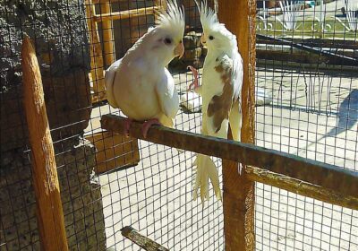 828e4ccb-8cbd-4a8e-8bf2-4b0f41256393