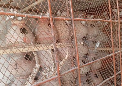 f91ab675-48d3-4bde-a264-890142734ddb