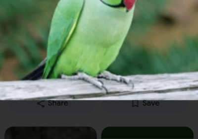 fb28d287-48c3-4a81-8e3d-5465b8508020