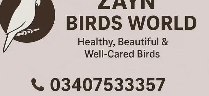 Store Banner