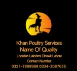 Store Logo